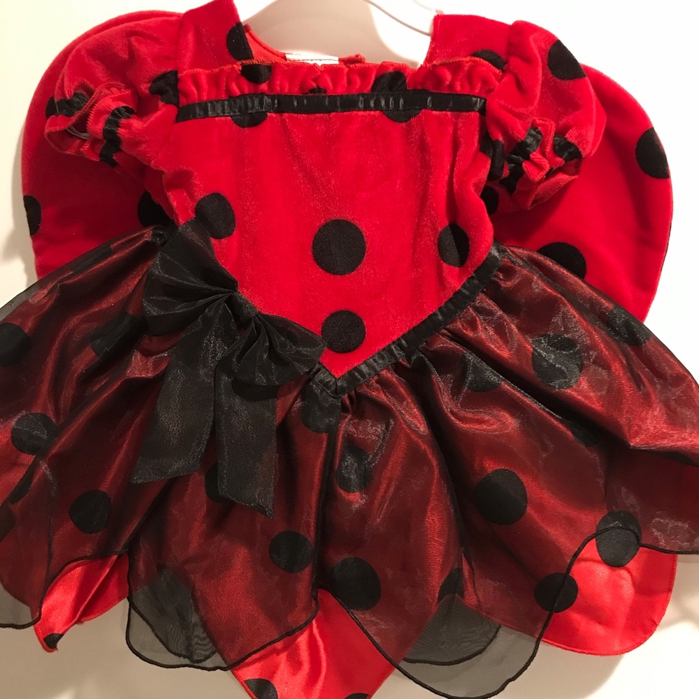 12 mo ladybug costume
